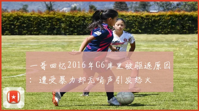 一哥回忆2016年G6库里被驱逐原因：遭受暴力却无哨声引发怒火